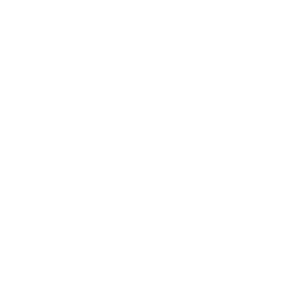 02 会社概要/沿革 COMPANY PROFILE